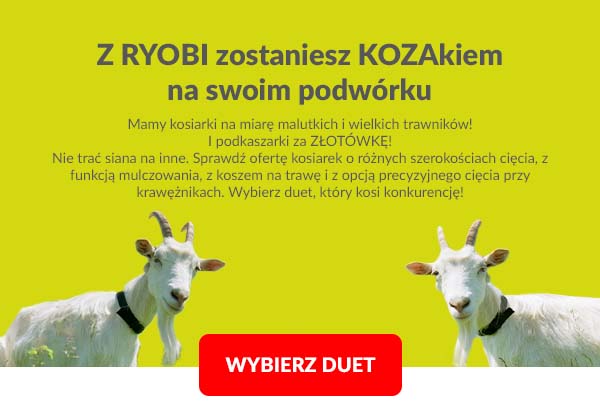 Z RYOBI zostaniesz kozakiem na własnym podwórku.