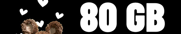 80 GB